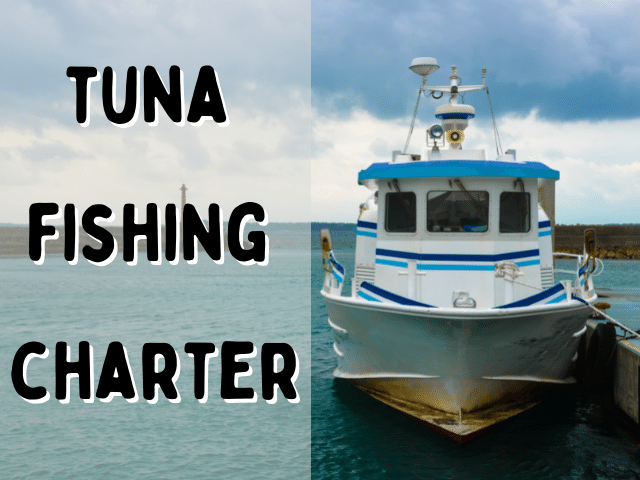 tuna fishing charter